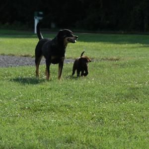 Meet your Posher, Rhonda